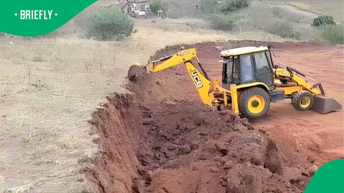 A woman showed a piece of her land.