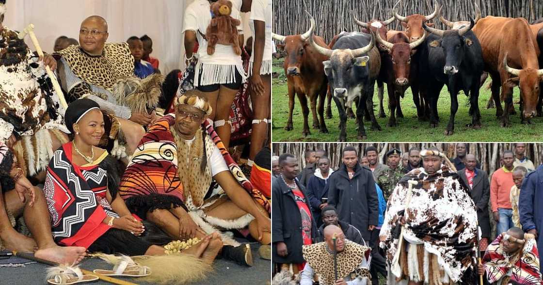 Lobola Debate, Mzansi, African Tradition, South Africa, Twitter