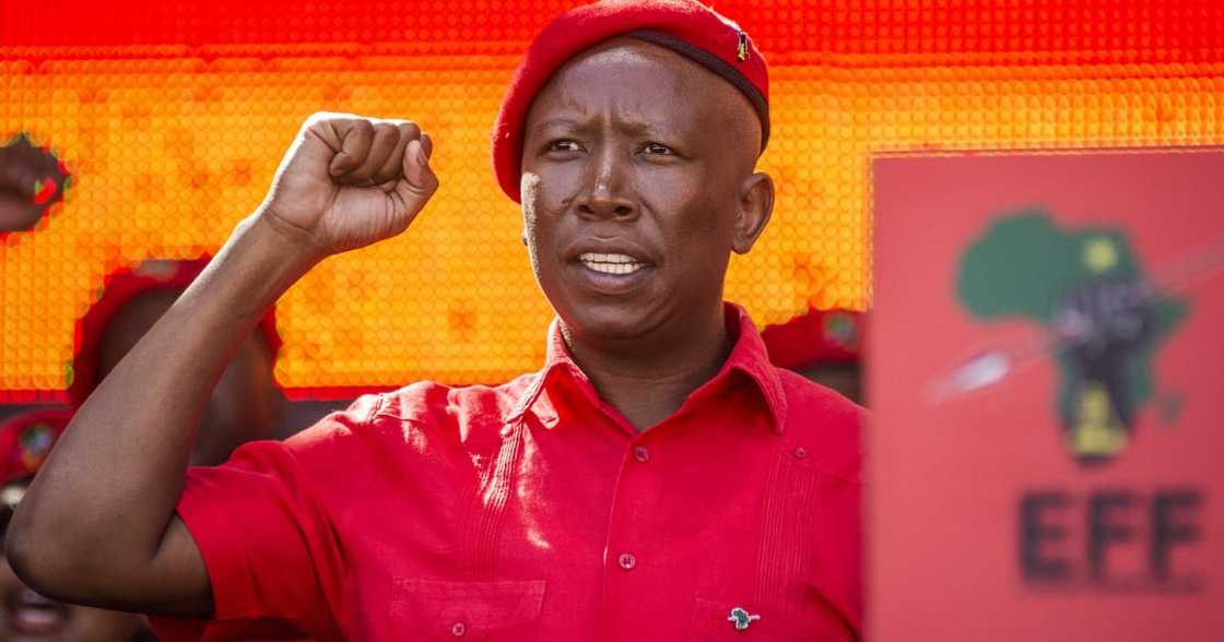Julius Malema, EFF, CR17 bank statements, President Cyril Ramaphosa, ANC presidential campaign Julius Malema, EFF, CR17 bank statements, President Cyril Ramaphosa, ANC presidential campaign