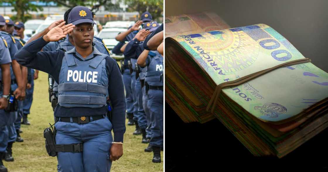 The Hawks arrested 13 suspected fraudsters' who stole millions from a Zimbabwean businessman who died in a car accident The Hawks arrested 13 suspected fraudsters' who stole millions from a Zimbabwean businessman who died in a car accident