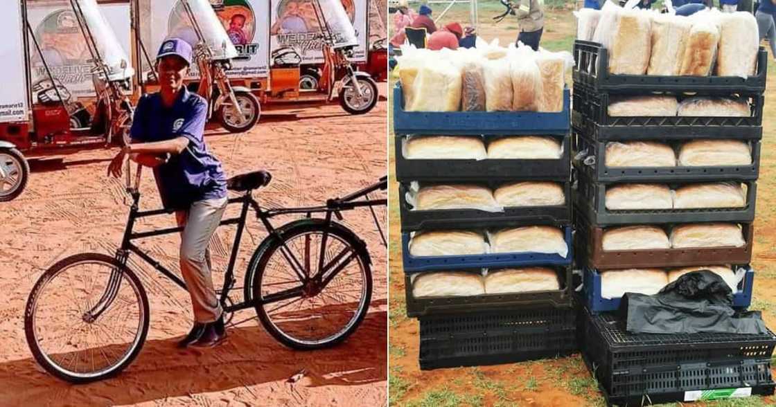 Bread, Baking, Business, Ramariz Bakery, Sekgakgapeng, Mokopane, Limpopo, Trucks, Employs, Entrepreneur