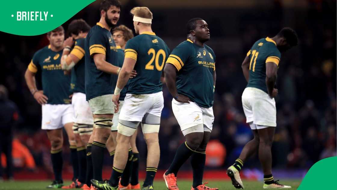 Springboks, South Africa, Rugby Championship Springboks, South Africa, Rugby Championship