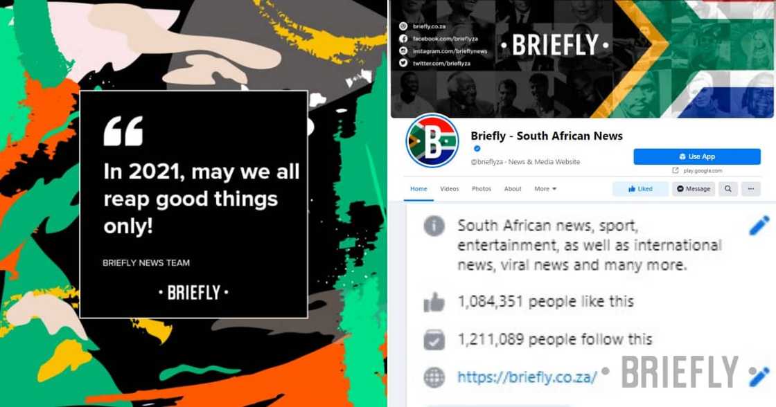 How to double your audience in a year: Briefly News' experience How to double your audience in a year: Briefly News' experience