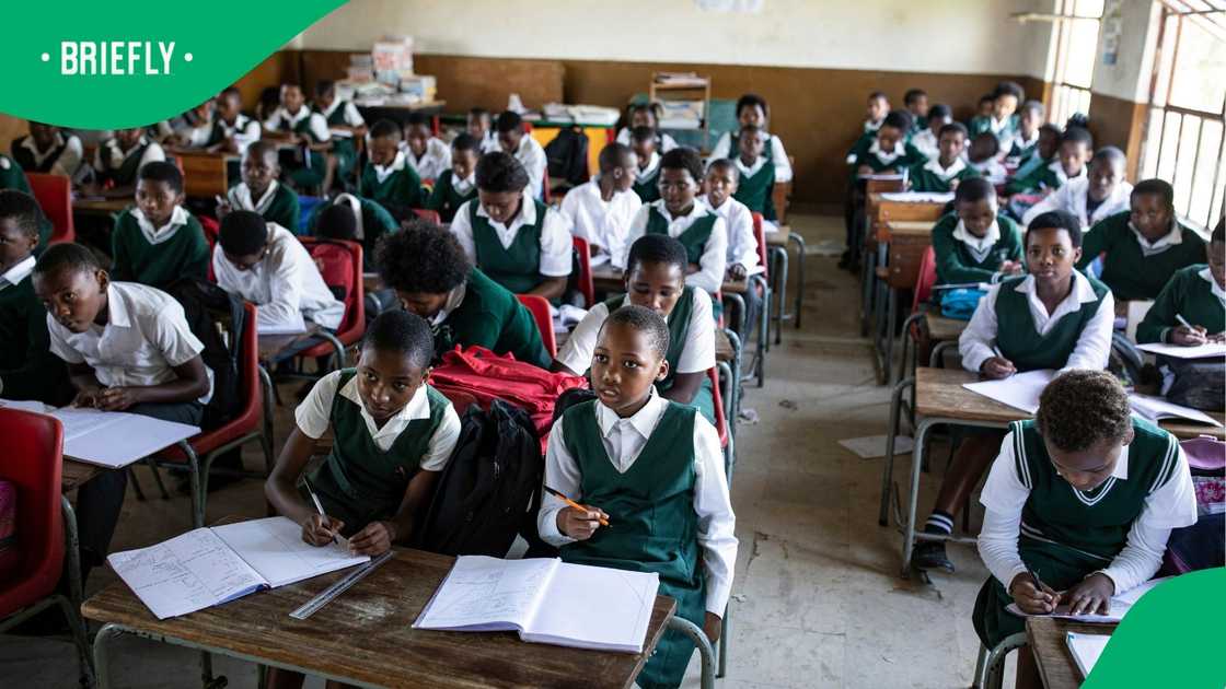 The 2030 Reading Panel report revealed that eight out of ten Grade 3 learners in South Africa are unable to read for meaning in any language, including their mother tongu The 2030 Reading Panel report revealed that eight out of ten Grade 3 learners in South Africa are unable to read for meaning in any language, including their mother tongu