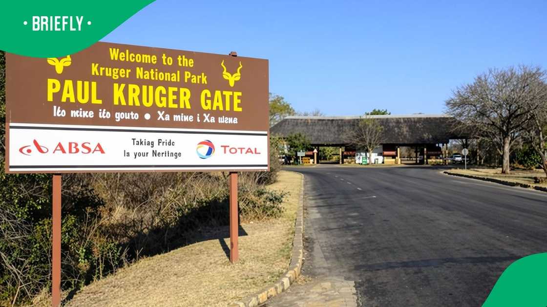 They also pleaded for both tourists and locals not to abandon the national park