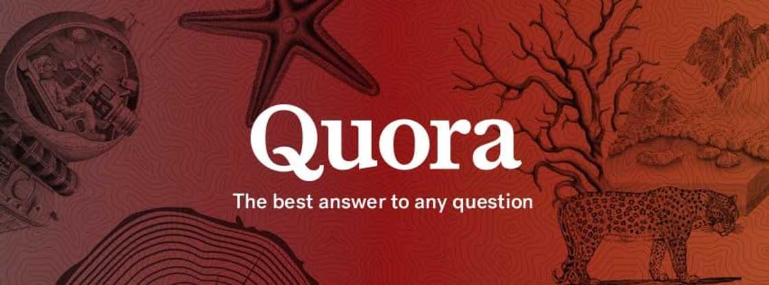 Top 15 Yahoo Answers alternatives Top 15 Yahoo Answers alternatives