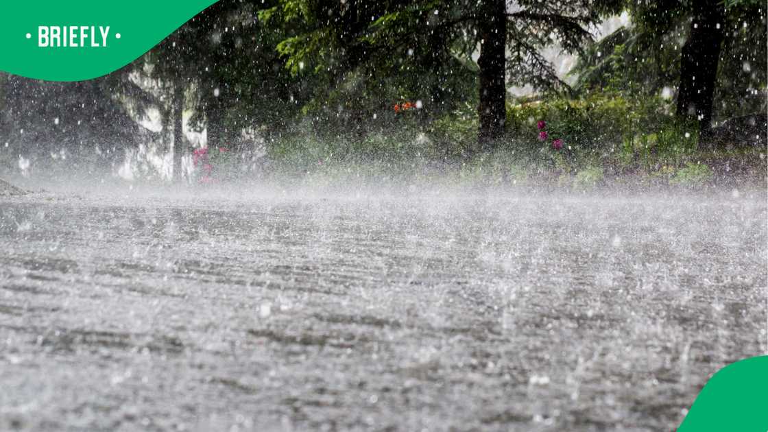 Western Cape braces for disruptive rain as Yellow Level 4 warning issued Western Cape braces for disruptive rain as Yellow Level 4 warning issued