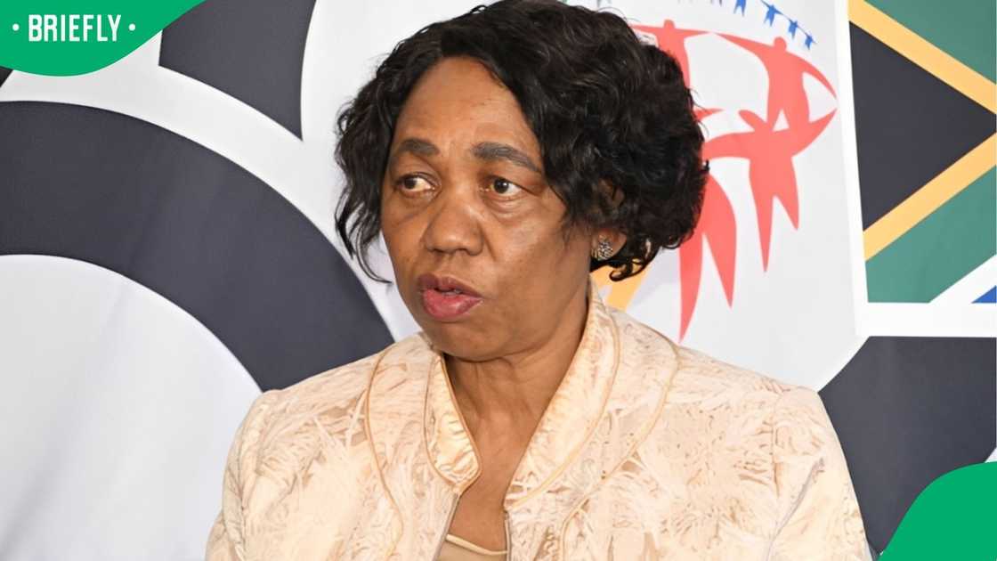Angie Motshekga, Minister of Defence and Military Veterans