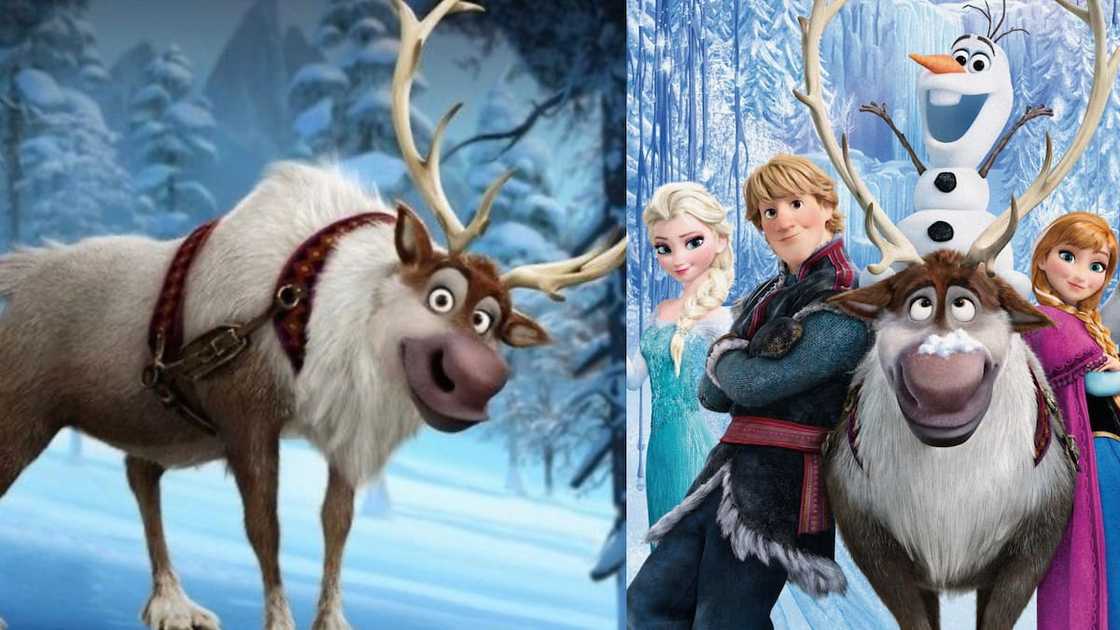 Sven with Elsa, Kristoff, Olaf, and Anna from Disney's Frozen Sven with Elsa, Kristoff, Olaf, and Anna from Disney's Frozen
