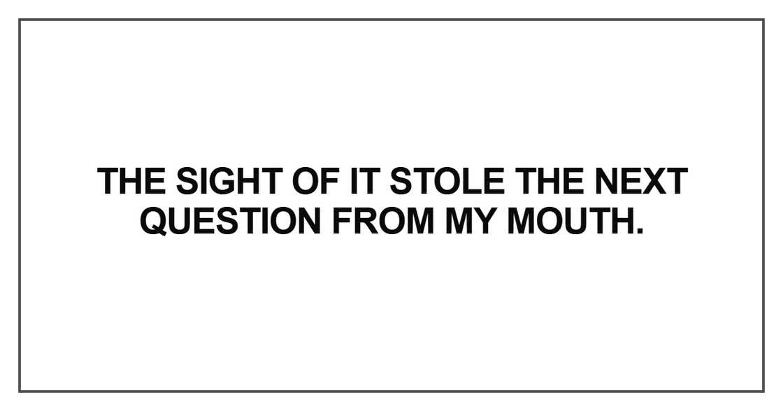 The sight of it stole the next question