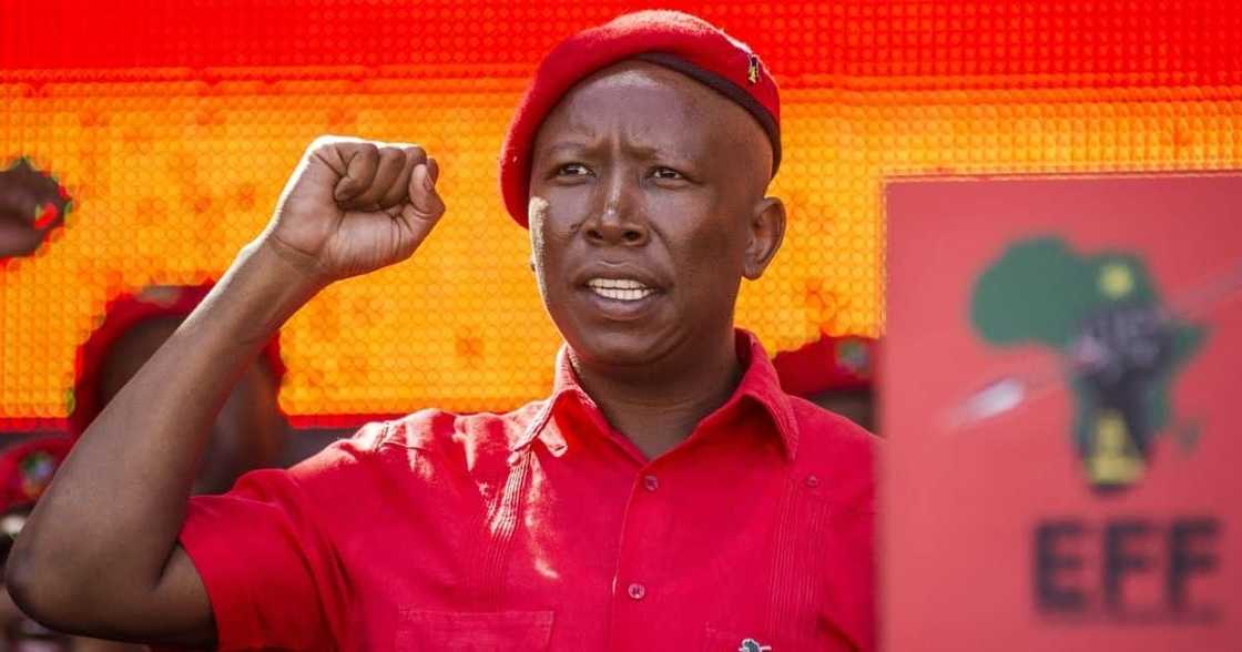 Julius Malema: trial date for firearm discharge set for August Julius Malema: trial date for firearm discharge set for August