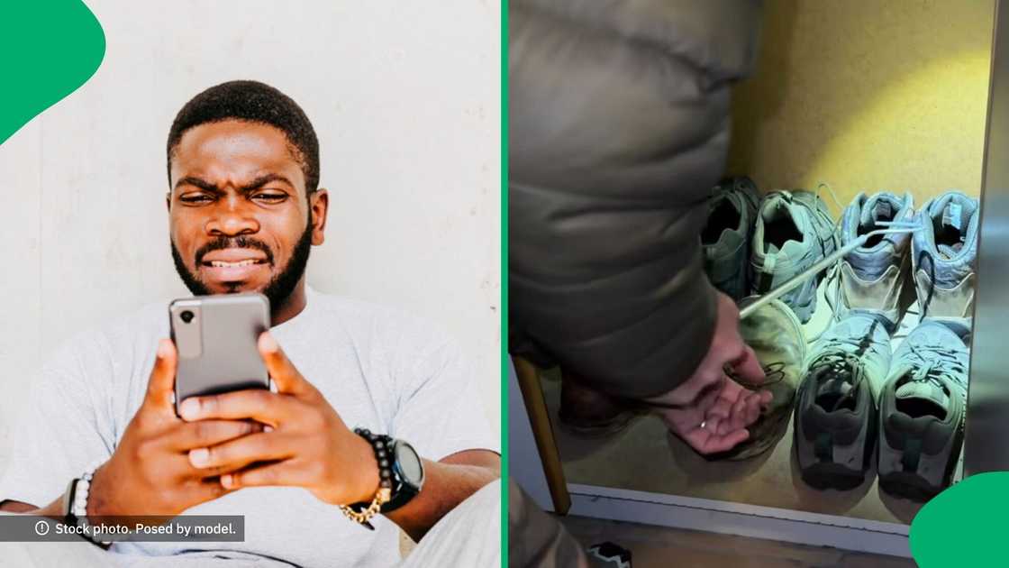 A man found a Cape Cobra coiled inside his work boot, shocking South Africa. A man found a Cape Cobra coiled inside his work boot, shocking South Africa.