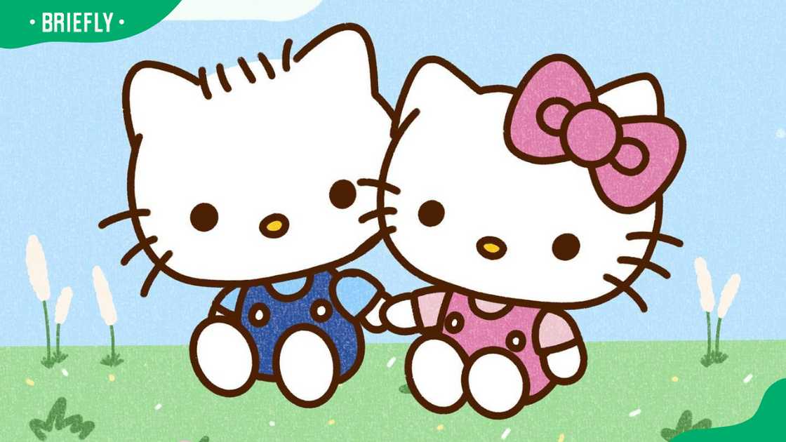 Hello Kitty and Dear Daniel seated on a grassy field Hello Kitty and Dear Daniel seated on a grassy field