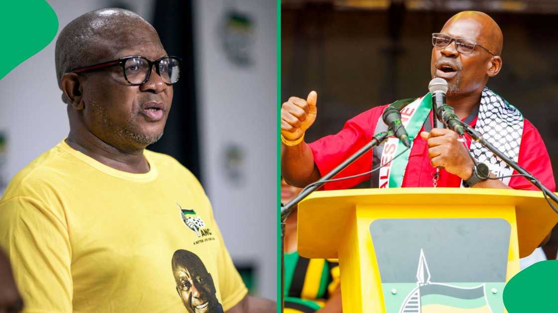 Fikile Mbalula responded to Solly Mapaila's criticism of the Government of National Unity