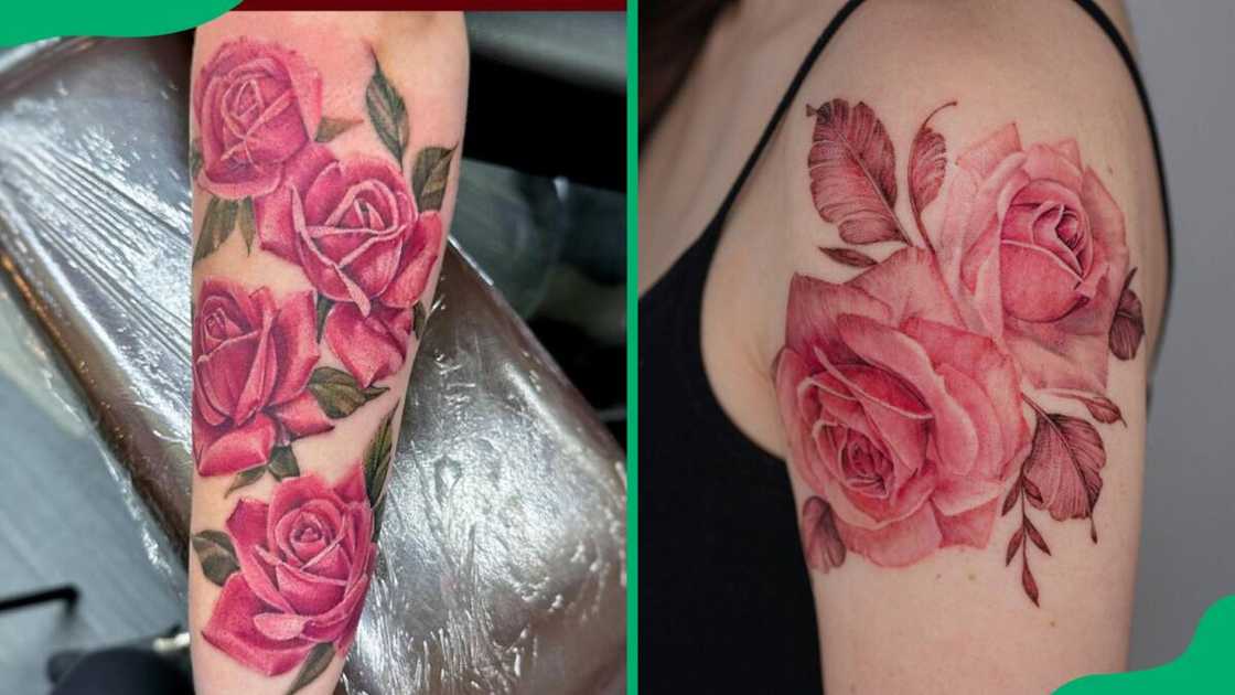 Pink rose tattoos Pink rose tattoos