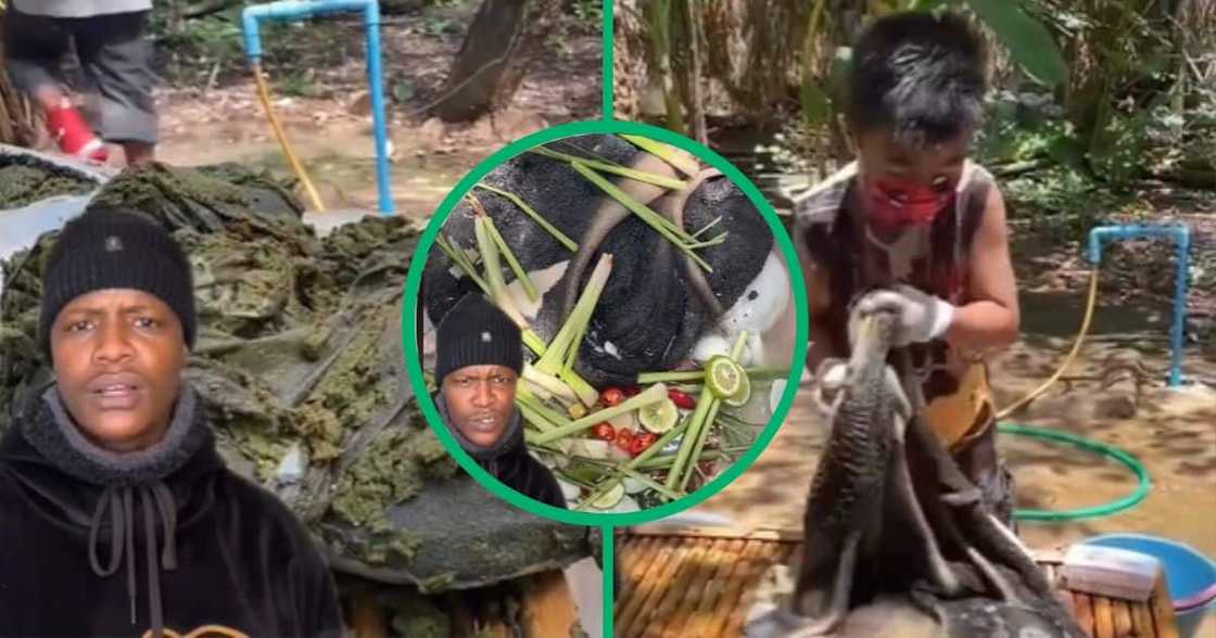 Child cooks mogodu the Asian way in TikTok video Child cooks mogodu the Asian way in TikTok video