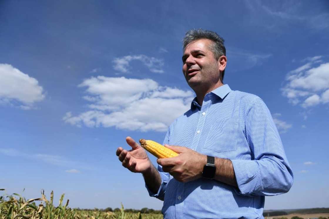 Brazilian farmer Carlos Moresco believes President Jair Bolsonaro has been the best leader in recent history for Brazil's agribusiness industry Brazilian farmer Carlos Moresco believes President Jair Bolsonaro has been the best leader in recent history for Brazil's agribusiness industry
