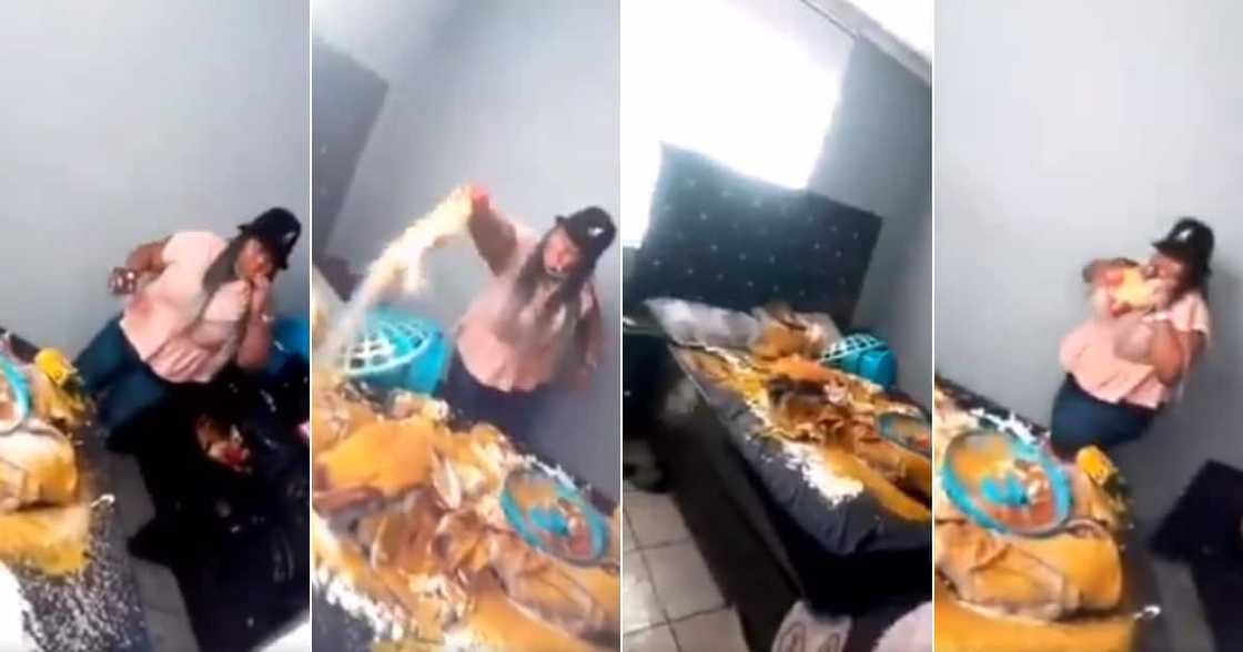 Video, Woman, Destroying Bed, Heated Debated,Cheating Video, Woman, Destroying Bed, Heated Debated,Cheating