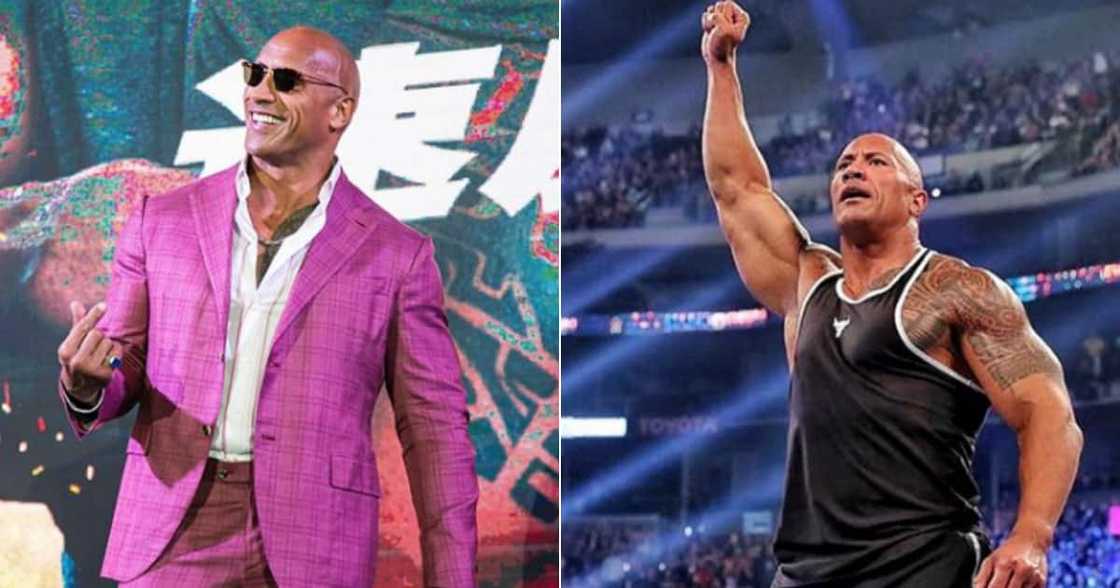 The Rock Stands a Good Chance in the US Presidential Elections The Rock Stands a Good Chance in the US Presidential Elections