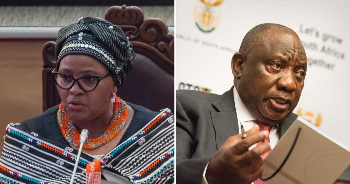 Speaker of Parliament, blocks UDM, ATM, Cyril Ramaphosa, Farmgate scandal, Phala Phala, Limpopo, Farm theft Speaker of Parliament, blocks UDM, ATM, Cyril Ramaphosa, Farmgate scandal, Phala Phala, Limpopo, Farm theft