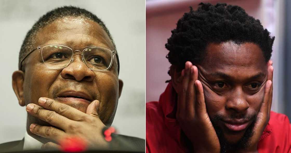 Fikile Mbalula, Mbuyiseni Ndlozi, Picture, Funny, Claps Back, Twitter reactions