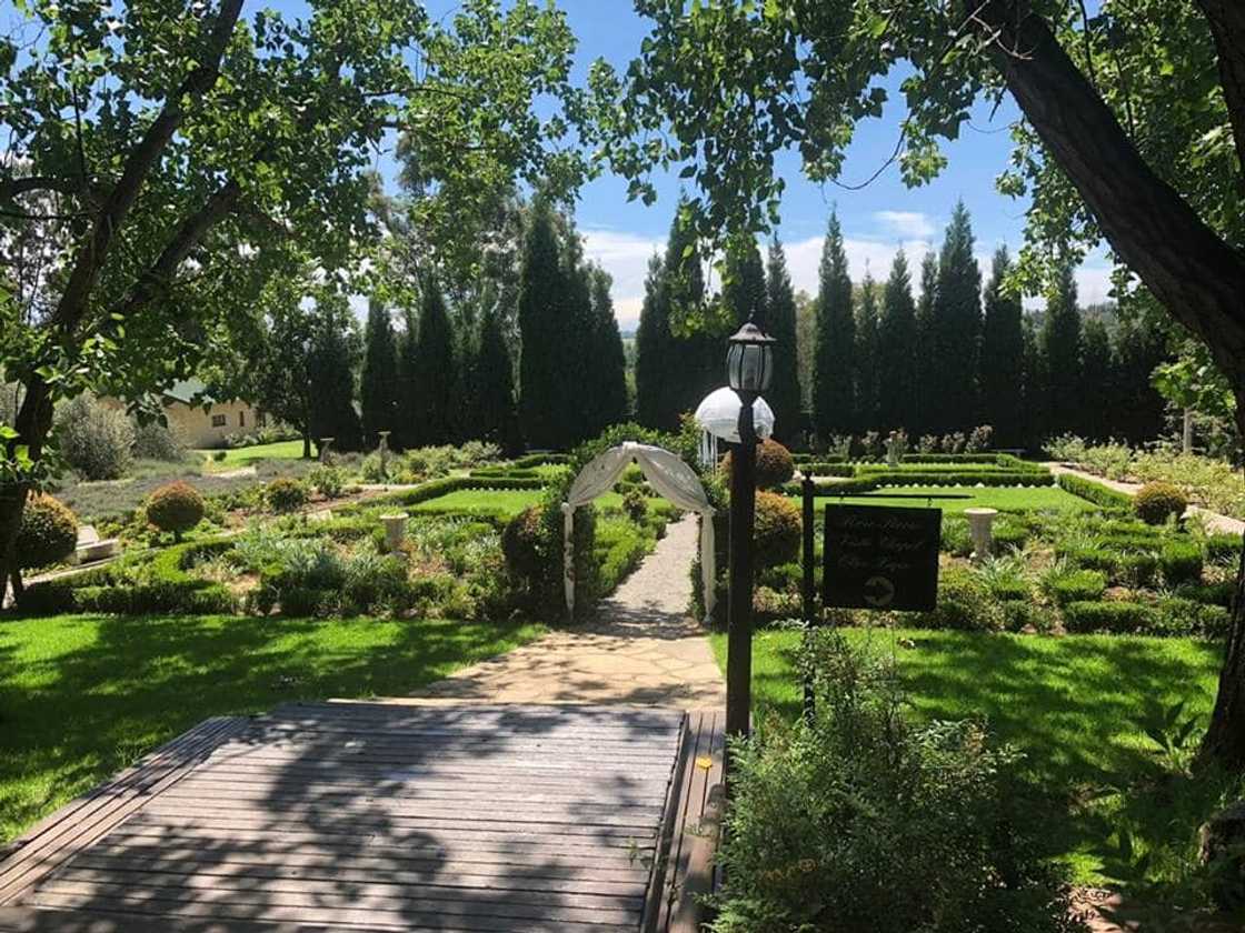 Stunning wedding venues Muldersdrift Stunning wedding venues Muldersdrift