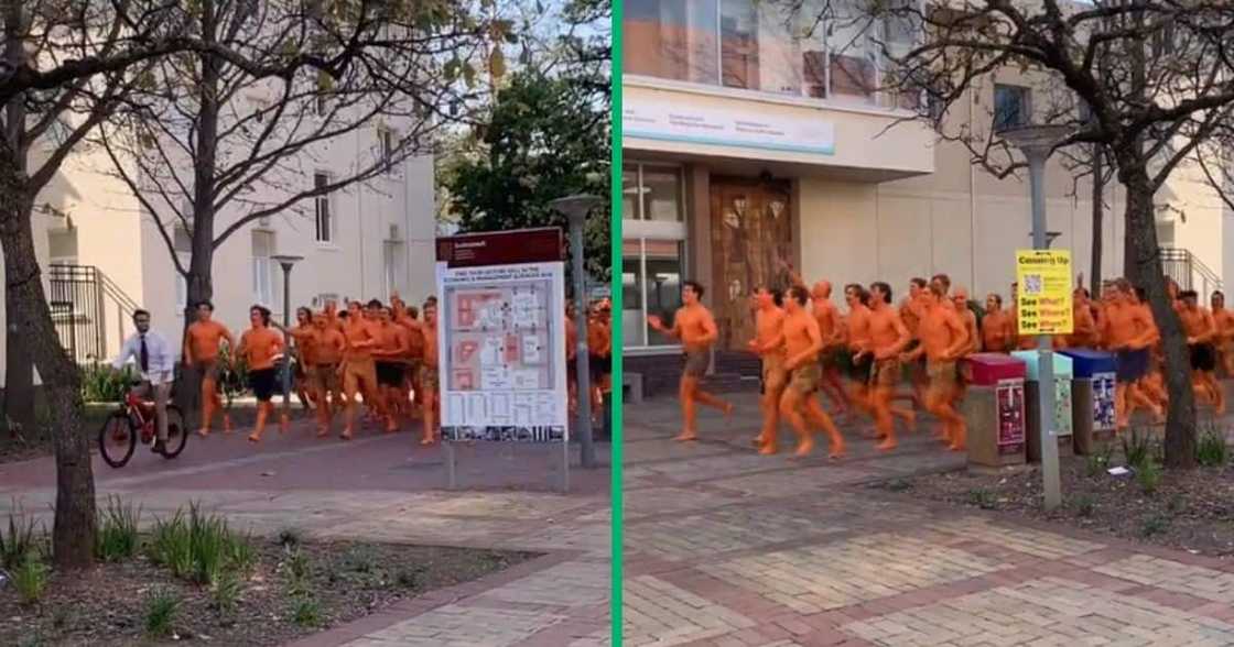 Orange men running in Stellenbosch Orange men running in Stellenbosch