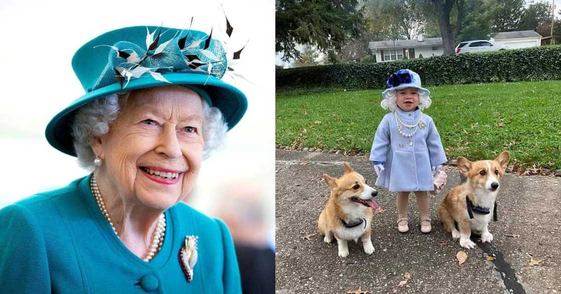 Queen Elizabeth, Halloween, child dress up, letter, reply, royal pets Queen Elizabeth, Halloween, child dress up, letter, reply, royal pets