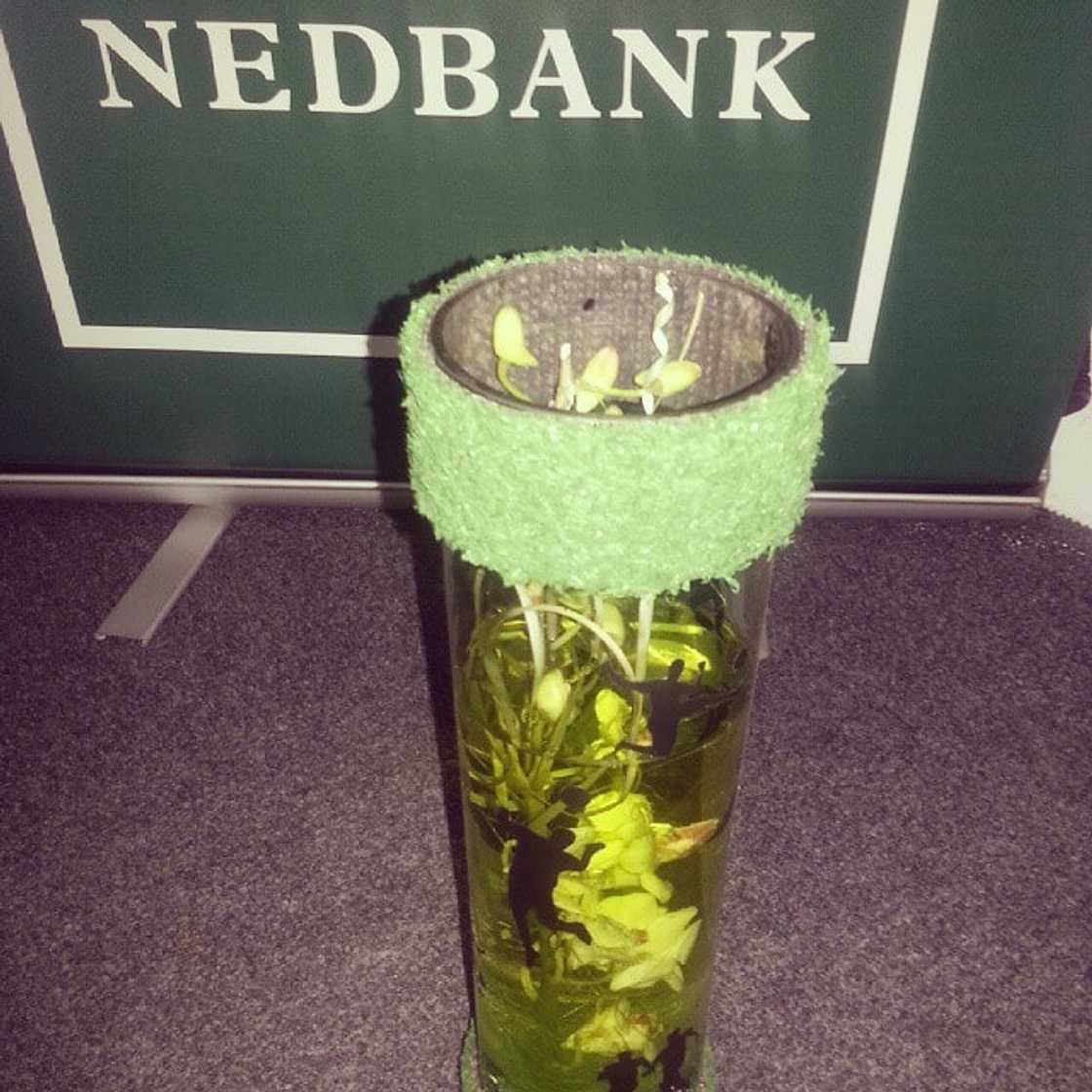 Nedbank Nedbank