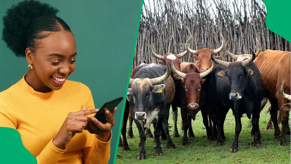 Mzansi was amused a video of lobola proceddings Mzansi was amused a video of lobola proceddings