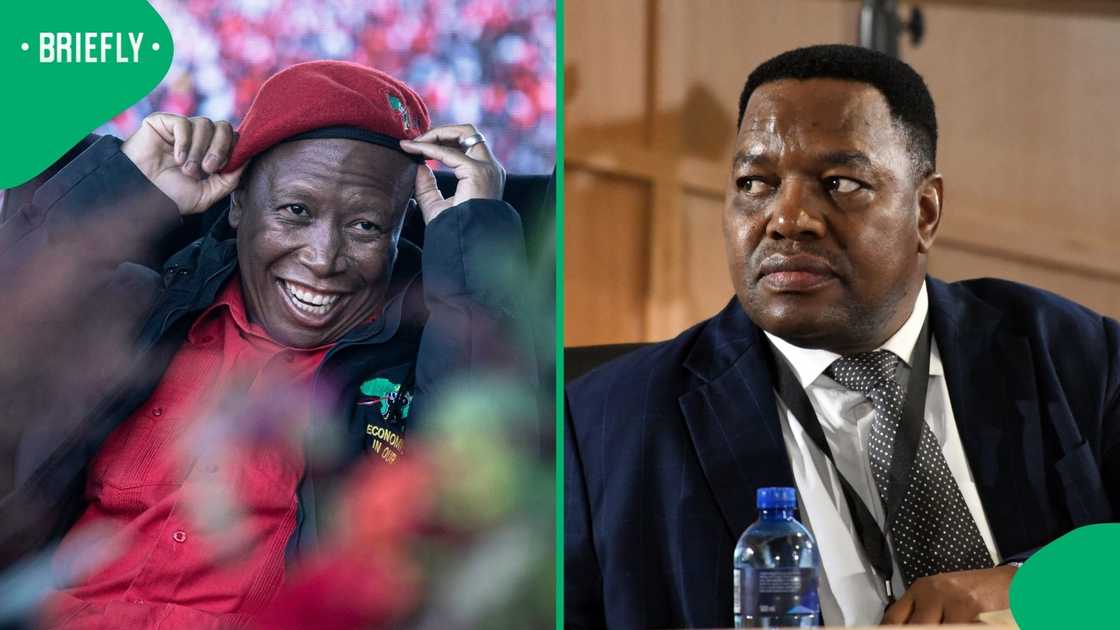 Julius Malema’s 2021 Comment About Fannie Masemola Resurfaces After General’s Testimony, SA Split Julius Malema’s 2021 Comment About Fannie Masemola Resurfaces After General’s Testimony, SA Split