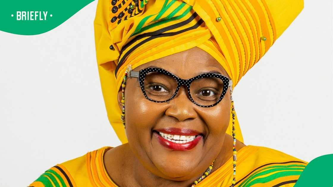 Majodina added that Magalies Water Board members were paid in excess of the maximum allowable hours