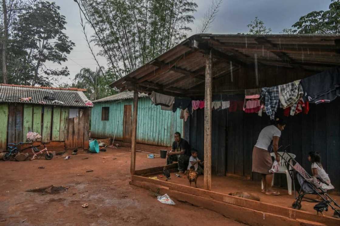 The Ava Guarani were supposed to get a reservation, based on their documented presence on the land since at least the 16th century. But a court controversially annulled the process in 2020
But a court annulled the process in 2020, after Bolsonaro took office, in what Oliveira calls a "completely abnormal" ruling. The Ava Guarani were supposed to get a reservation, based on their documented presence on the land since at least the 16th century. But a court controversially annulled the process in 2020
But a court annulled the process in 2020, after Bolsonaro took office, in what Oliveira calls a "completely abnormal" ruling.
