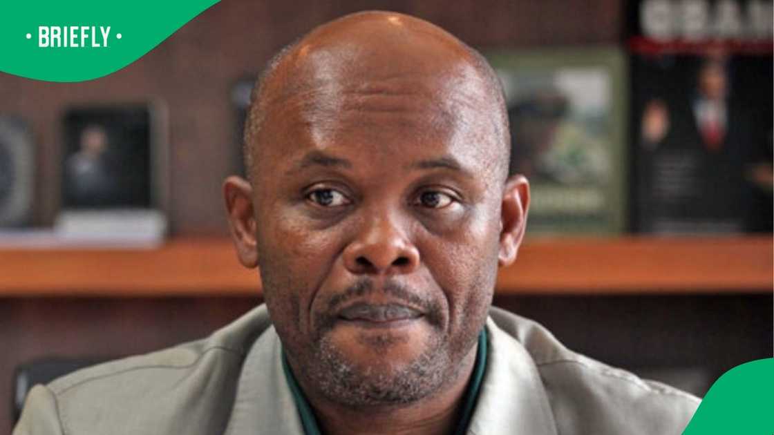 Sibiya mentioned Mashaba's name
