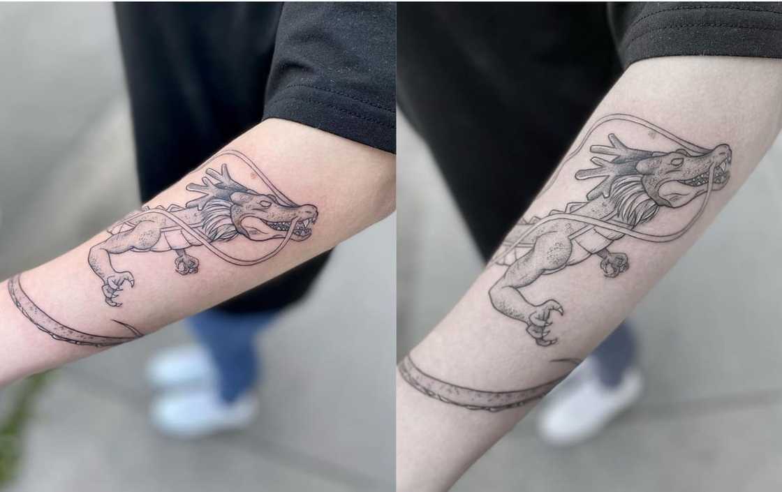Shenron Shenron