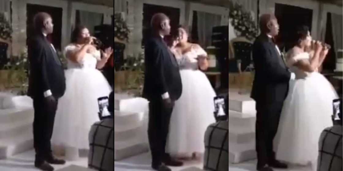 Bride, polygamy, marriage Bride, polygamy, marriage