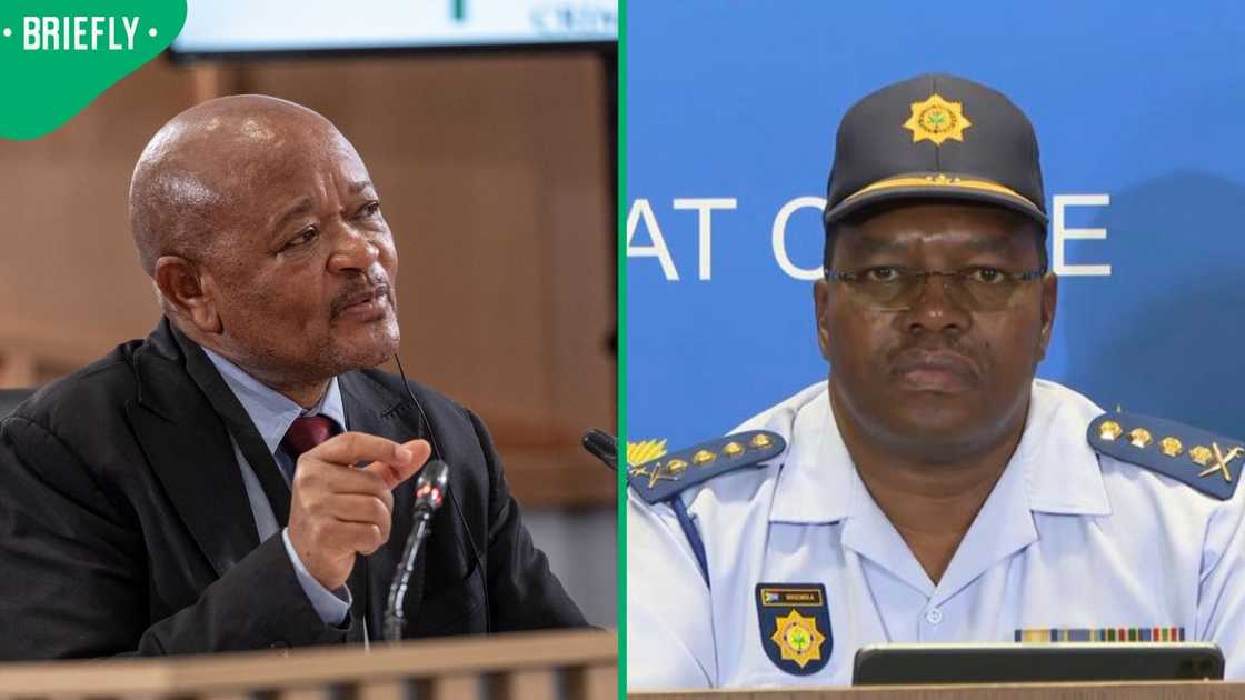 Fannie Masemola contradicted Senzo Mchunu’s testimony