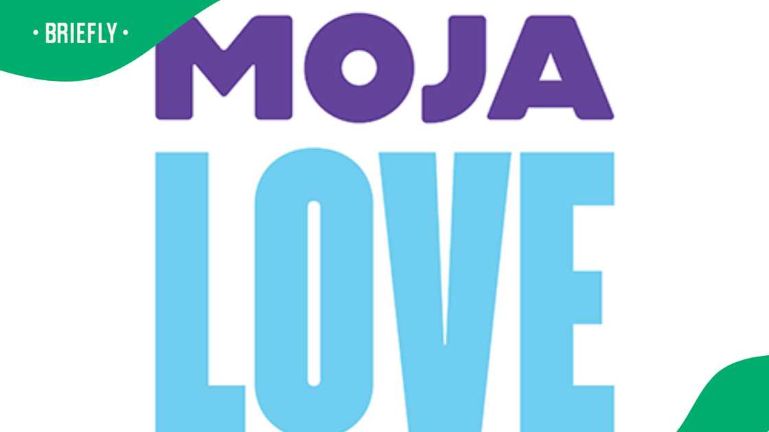 Netizens reacted to Moja Love TV's recent stunts