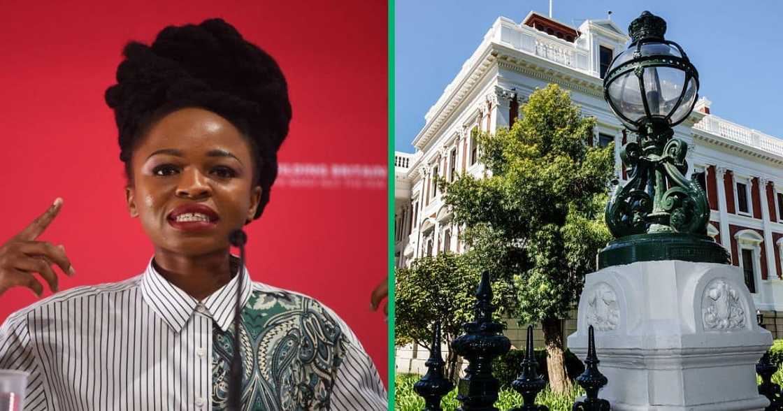 EFF's MP, Naledi Chirwa, issued a public apology for missing Parliament on 21 February EFF's MP, Naledi Chirwa, issued a public apology for missing Parliament on 21 February