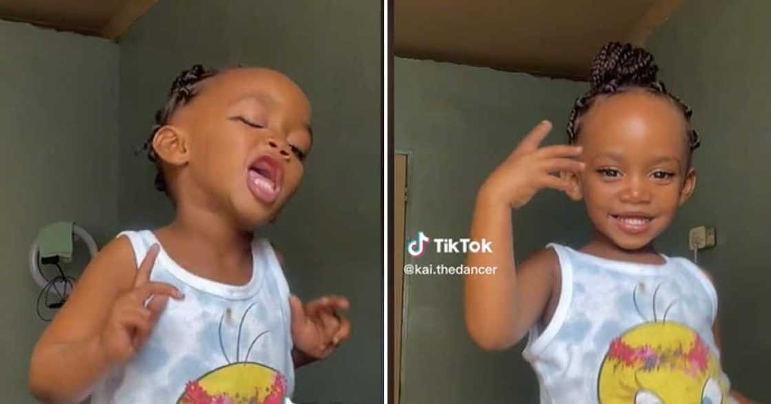 Tiny tot's 'Kilimanjaro' dance challenge goes viral