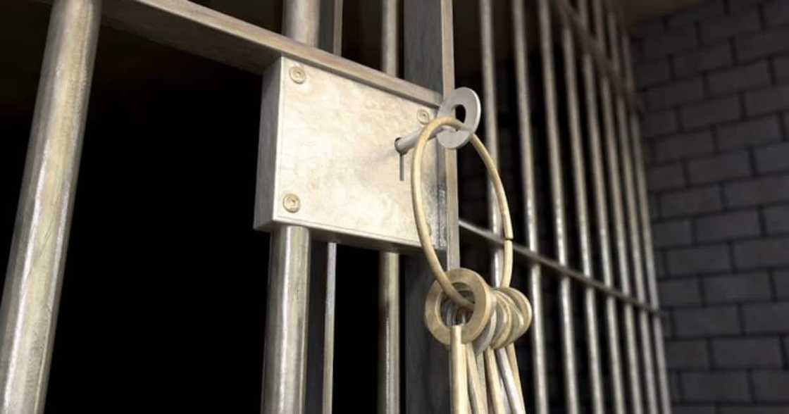 Crime, prison, fraud, R1.2 million, Walter Sisulu University Crime, prison, fraud, R1.2 million, Walter Sisulu University