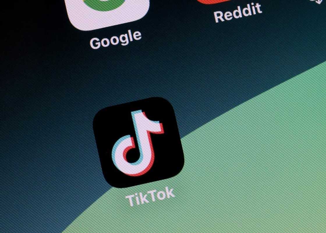 Campaigners say TikTok failed to detect ads riddled with election disinformation. Campaigners say TikTok failed to detect ads riddled with election disinformation.