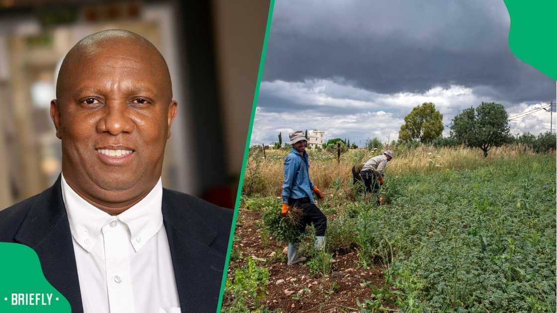 Peter Setou’s insights highlight the importance of effective coordination, private sector involvement, and community empowerment in making land reform a success. Peter Setou’s insights highlight the importance of effective coordination, private sector involvement, and community empowerment in making land reform a success.