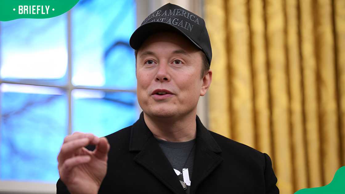 Elon Musk in Washington, D.C.