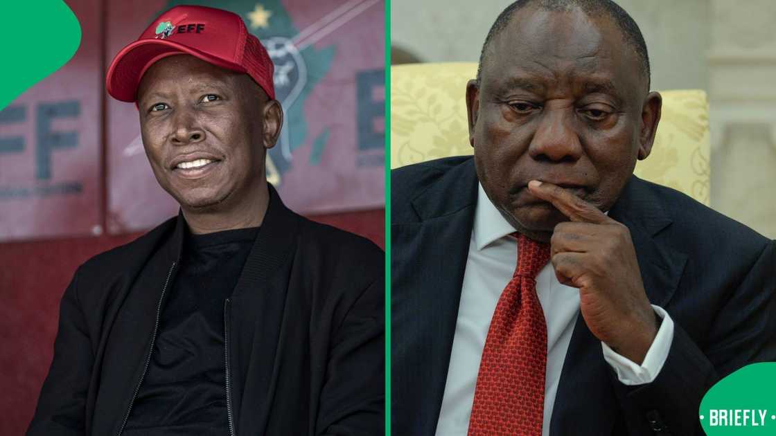 EFF leader Julius Malema accuses President Cyril Ramaphosa EFF leader Julius Malema accuses President Cyril Ramaphosa