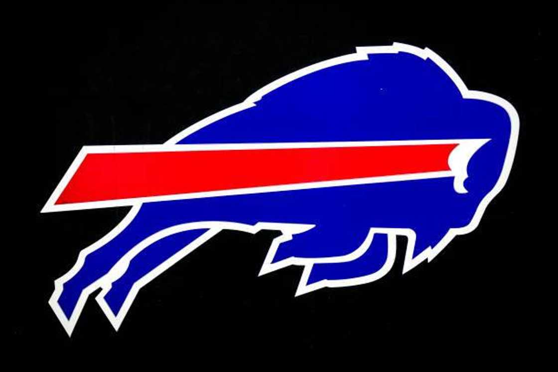 Buffalo Bills logo in Detroit, Michigan.