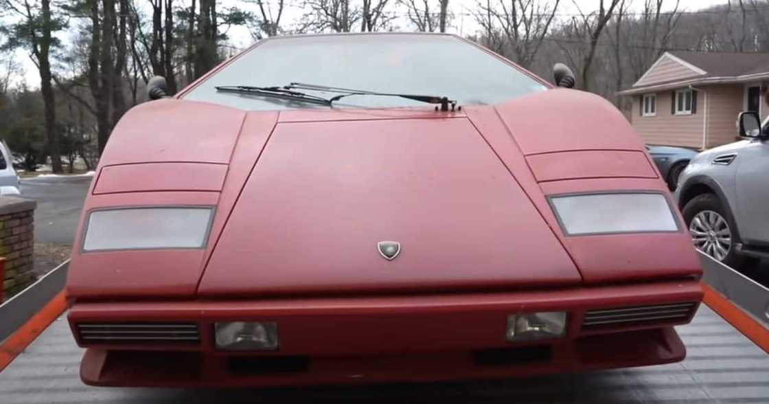 Man Gives Old Lamborghini Countach Covered in Mouse Faeces Its First Wash in 20 Years