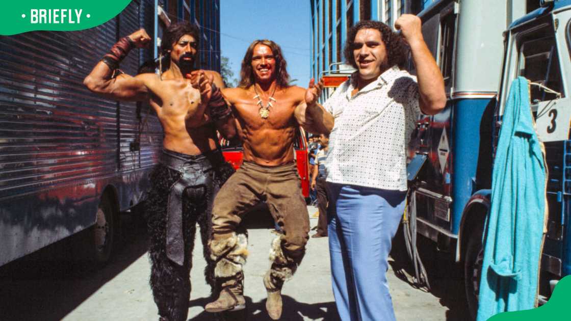 What was Andre the Giant doing when he died? What was Andre the Giant doing when he died?