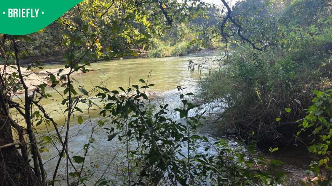 crocodile river crocodile river