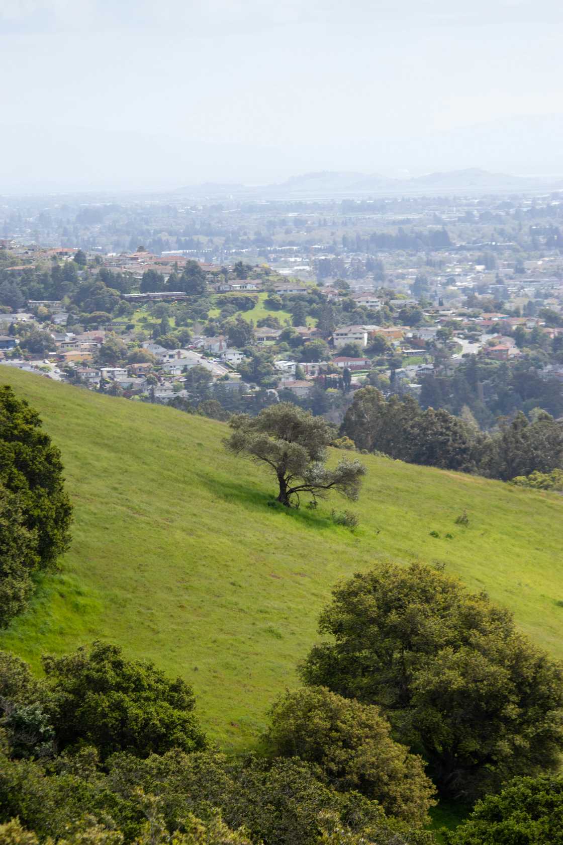 South Africans discussed house in Claremont South Africans discussed house in Claremont